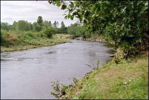 image007